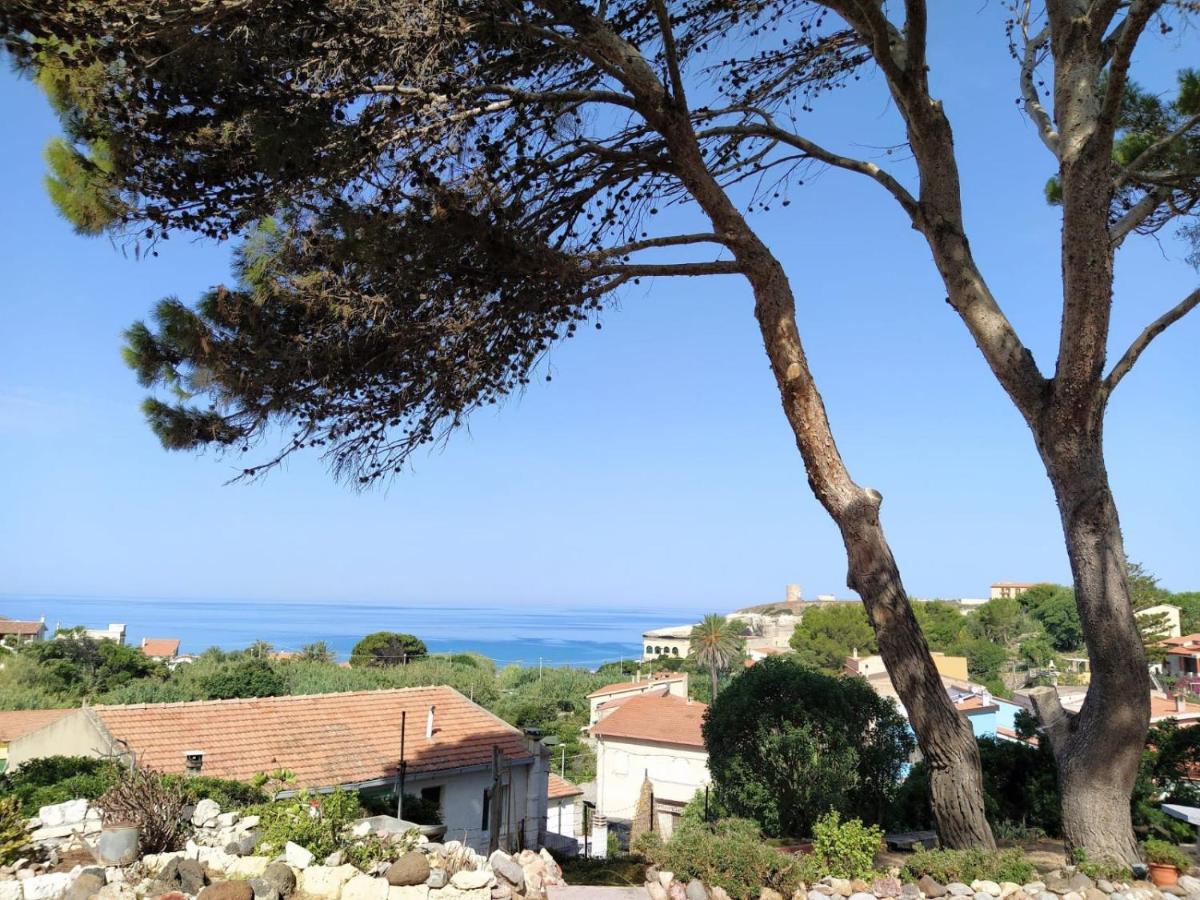 Apartment In Con Vista Mare *